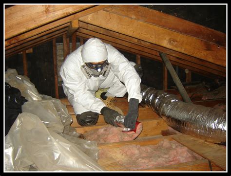 Attic Cleaning Service